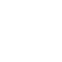 icon1.